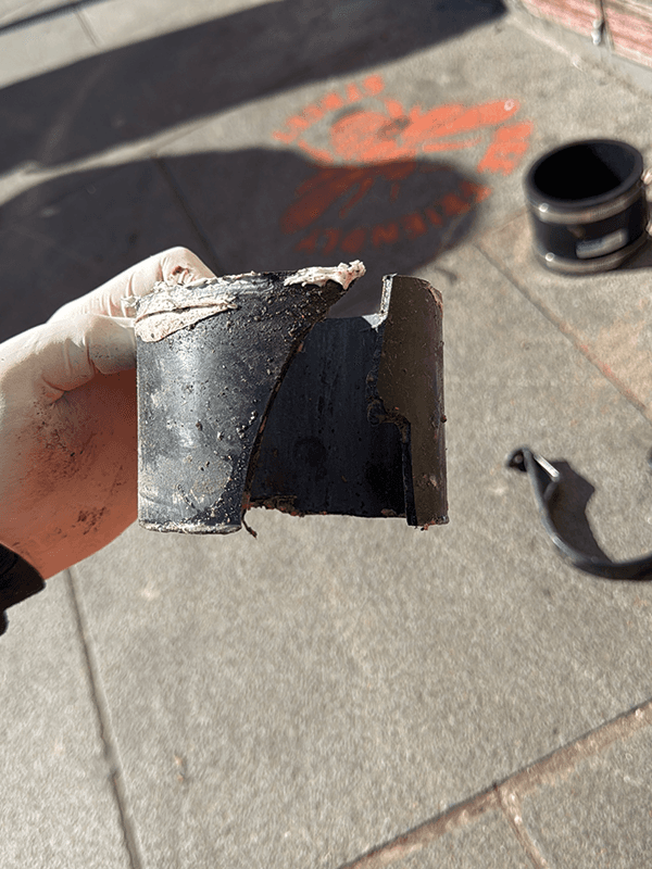 Root Removal — image 1